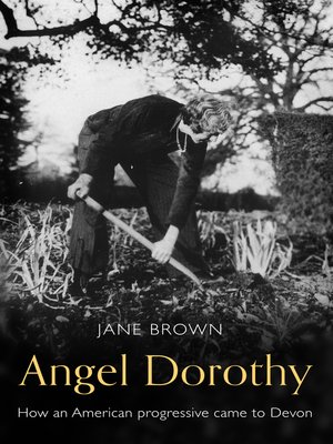 cover image of Angel Dorothy